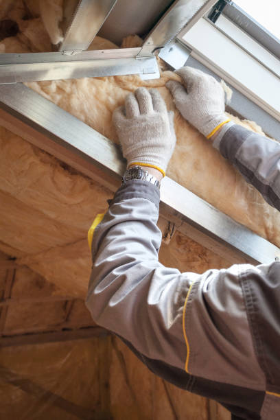Best Residential Insulation in Ferrum, VA